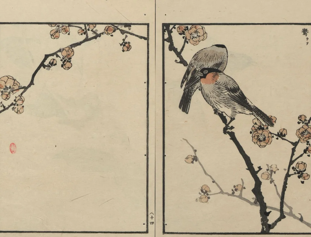 An illustration from Bairei Picture Album of One Hundred Birds (Bairei hyakuchō gafu 楳嶺百鳥畫譜) : [volume 3], 1881, leaf 18