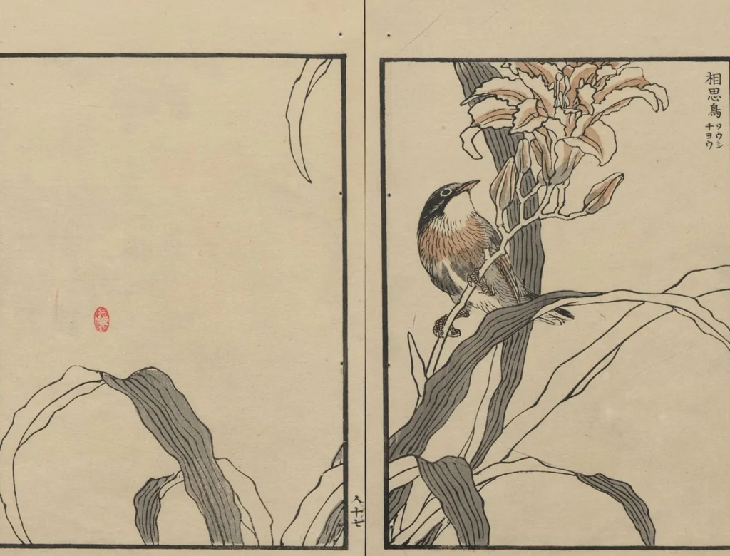 An illustration from Bairei Picture Album of One Hundred Birds (Bairei hyakuchō gafu 楳嶺百鳥畫譜) : [volume 3], 1881, leaf 21