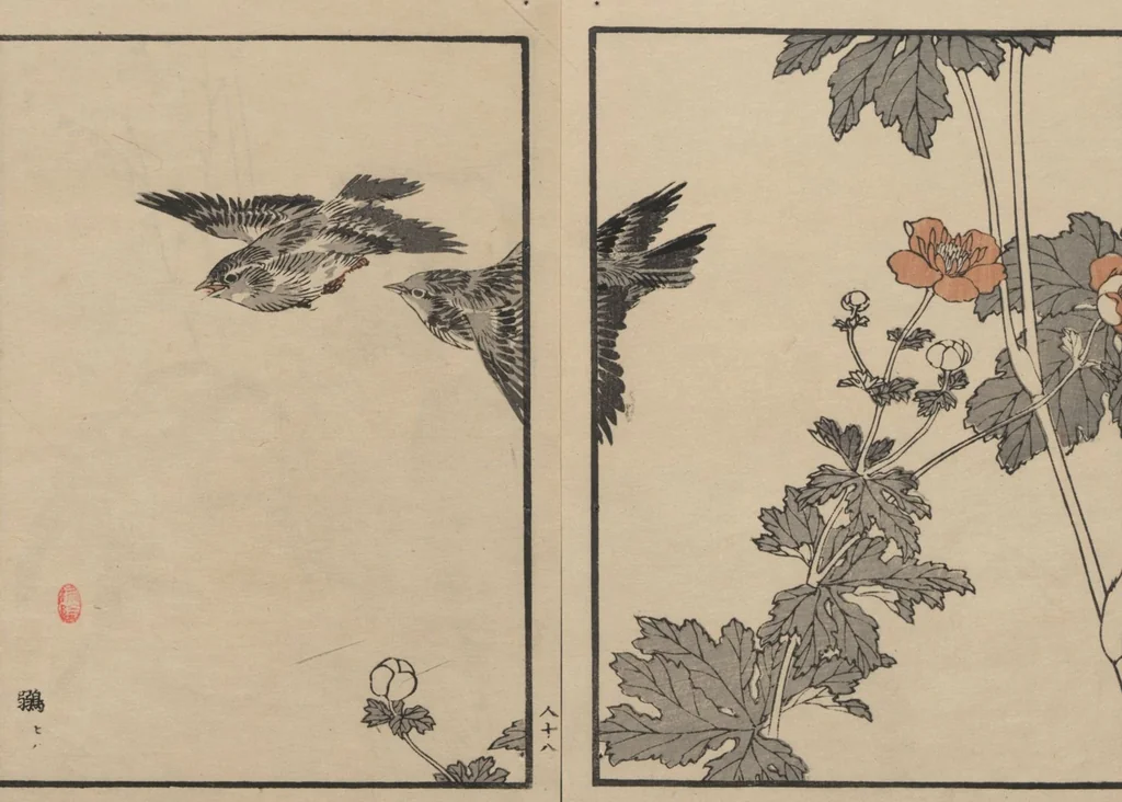 An illustration from Bairei Picture Album of One Hundred Birds (Bairei hyakuchō gafu 楳嶺百鳥畫譜) : [volume 3], 1881, leaf 22