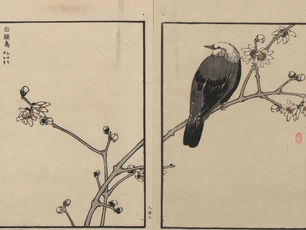An illustration from Bairei Picture Album of One Hundred Birds (Bairei hyakuchō gafu 楳嶺百鳥畫譜) : [volume 3], 1881, leaf 26