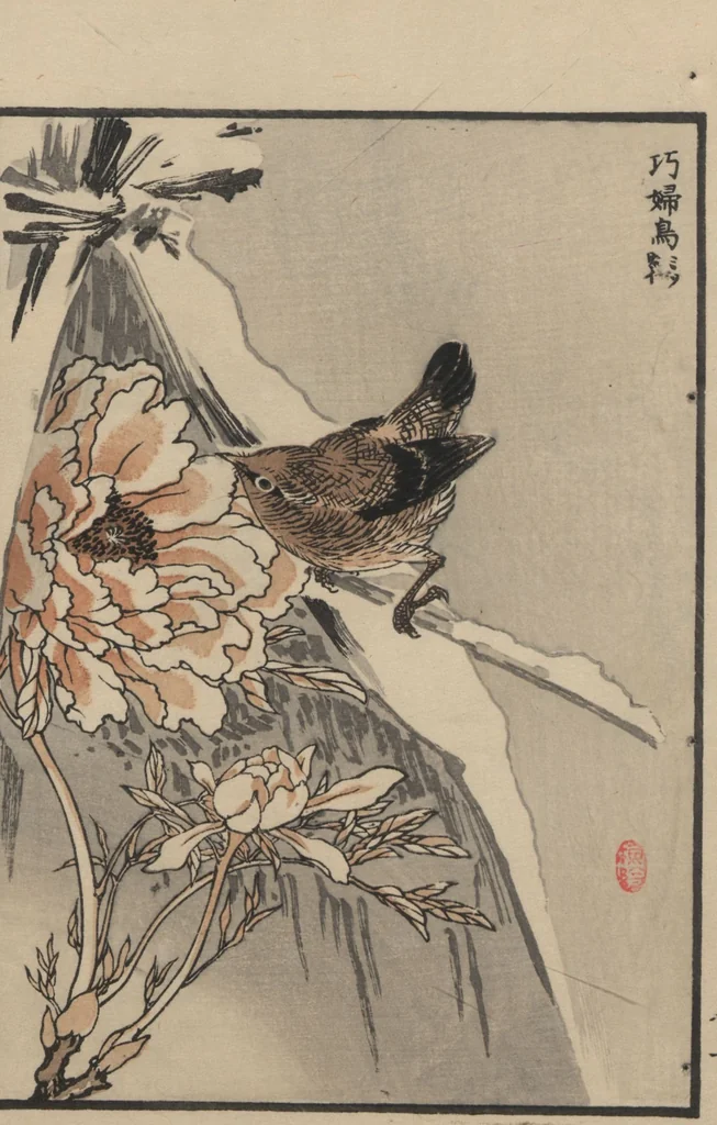An illustration from Bairei Picture Album of One Hundred Birds (Bairei hyakuchō gafu 楳嶺百鳥畫譜) : [volume 3], 1881, leaf 5