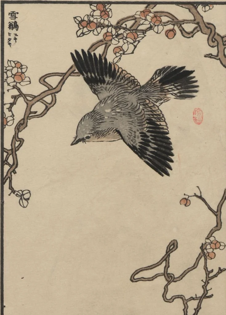 An illustration from Bairei Picture Album of One Hundred Birds (Bairei hyakuchō gafu 楳嶺百鳥畫譜) : [volume 3], 1881, leaf 6