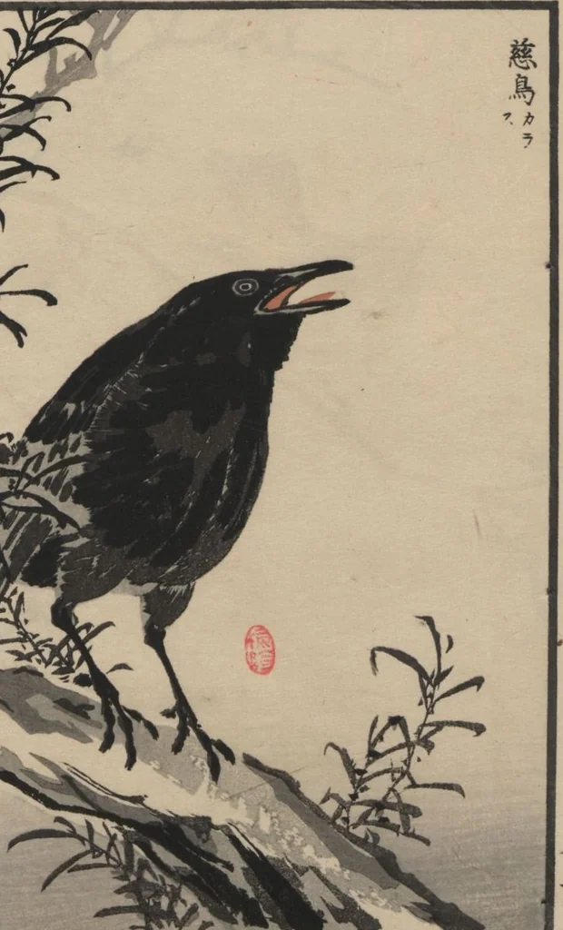 An illustration from Bairei Picture Album of One Hundred Birds (Bairei hyakuchō gafu 楳嶺百鳥畫譜) : [volume 3], 1881, leaf 6
