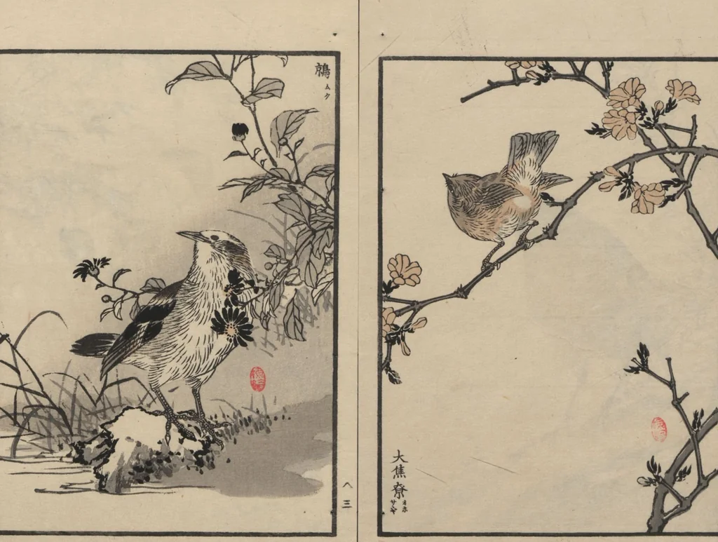 An illustration from Bairei Picture Album of One Hundred Birds (Bairei hyakuchō gafu 楳嶺百鳥畫譜) : [volume 3], 1881, leaf 7