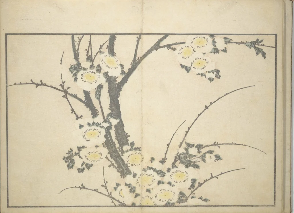 An illustration from A Realistic Sketchbook by Hokusai (Hokusai shashin gafu 北斎写真画譜), 1814, leaf 11