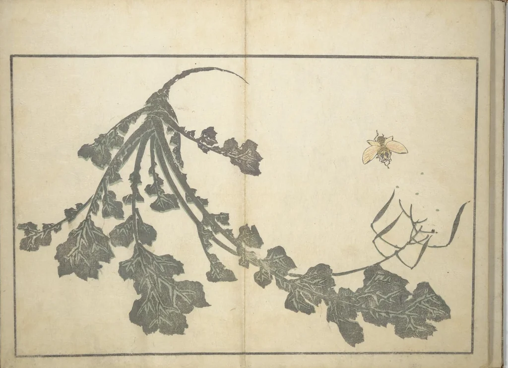 An illustration from A Realistic Sketchbook by Hokusai (Hokusai shashin gafu 北斎写真画譜), 1814, leaf 12