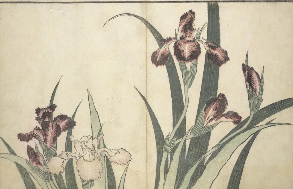 An illustration from A Realistic Sketchbook by Hokusai (Hokusai shashin gafu 北斎写真画譜), 1814, leaf 14