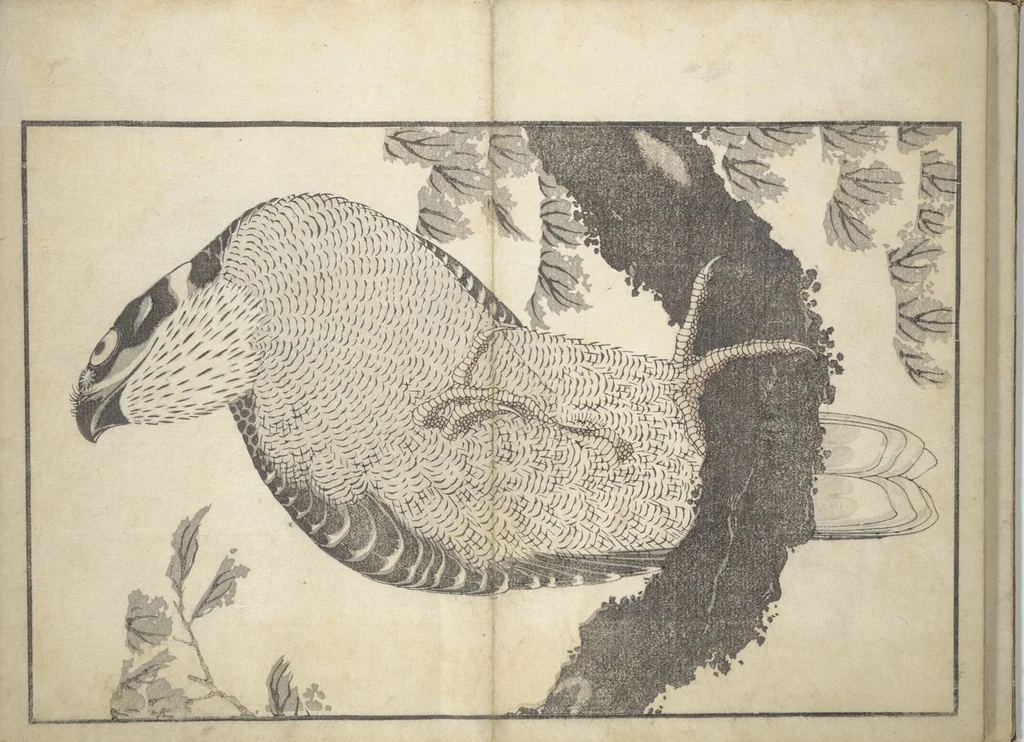 An illustration from A Realistic Sketchbook by Hokusai (Hokusai shashin gafu 北斎写真画譜), 1814, leaf 15