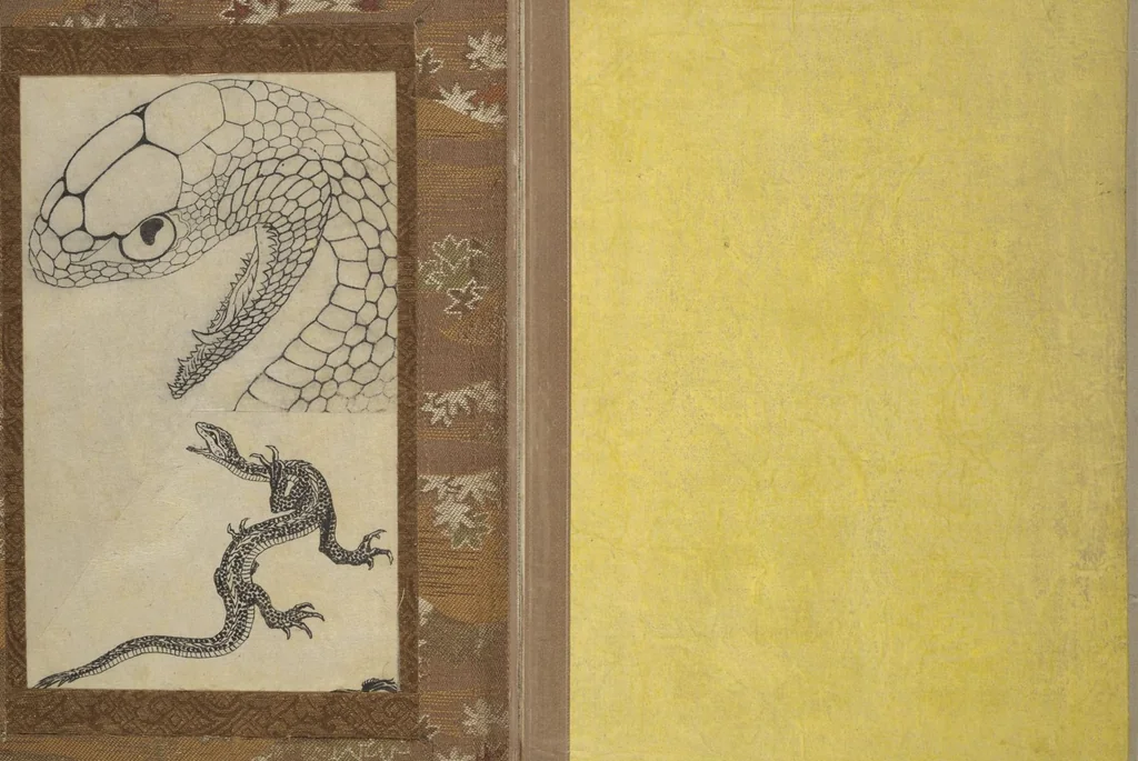 An illustration from A Realistic Sketchbook by Hokusai (Hokusai shashin gafu 北斎写真画譜), 1814, leaf 21