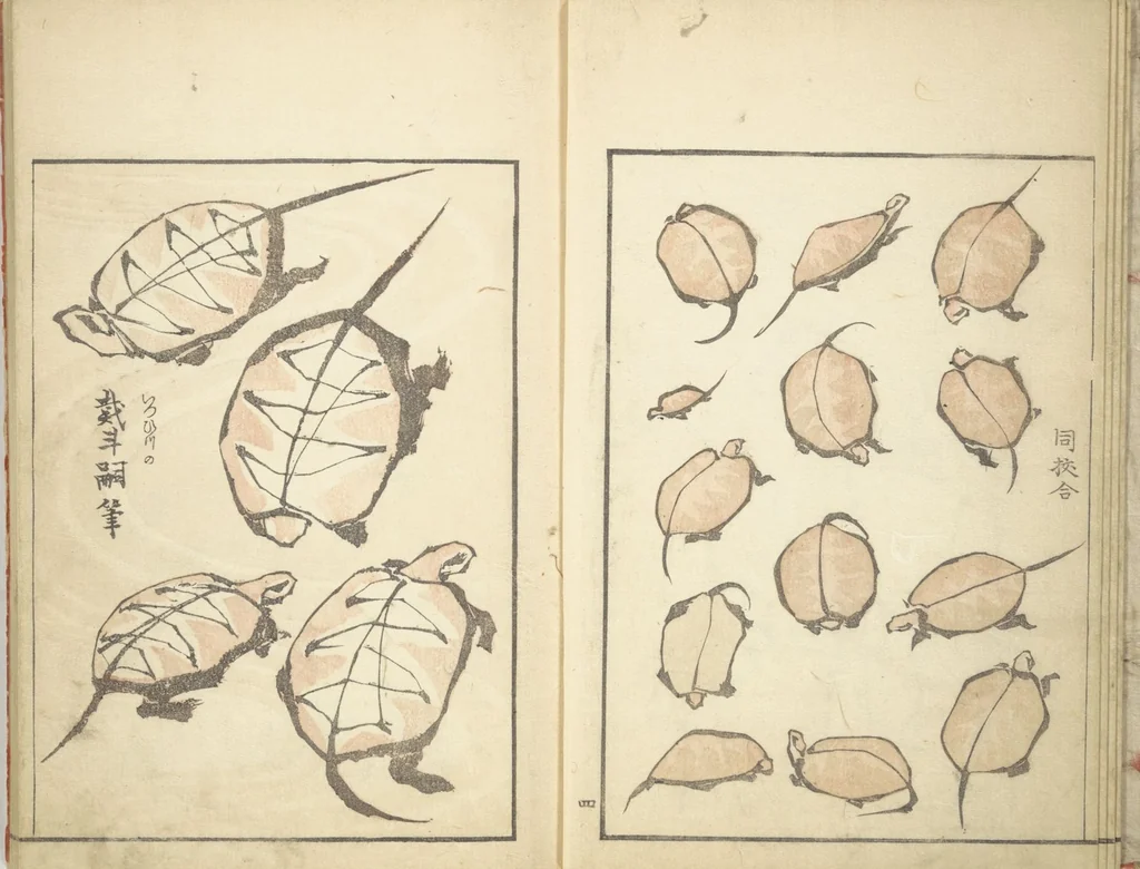 An illustration from Transmitting the Spirit, Revealing Form of Things: Picture Album of Drawings at One Stroke (Denshin kaishu ippitsu gafu 伝神開手 一筆画譜), 1823, leaf 6