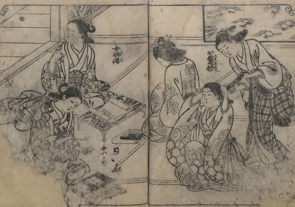 An illustration from One Hundred Women Classified According to Their Rank (Hyakunin joro shinasadame 百人女郎品定) : [volume 2], 1723, leaf 3
