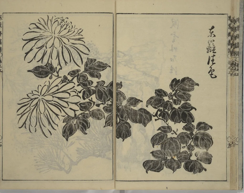 An illustration from Kan'yōsai Picture Album (Kan'yōsai gafu 寒葉斎画譜) : [volume 3], 1762, leaf 15
