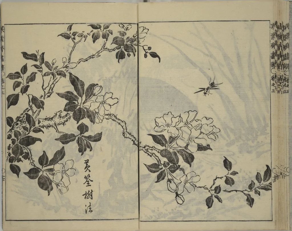 An illustration from Kan'yōsai Picture Album (Kan'yōsai gafu 寒葉斎画譜) : [volume 3], 1762, leaf 18