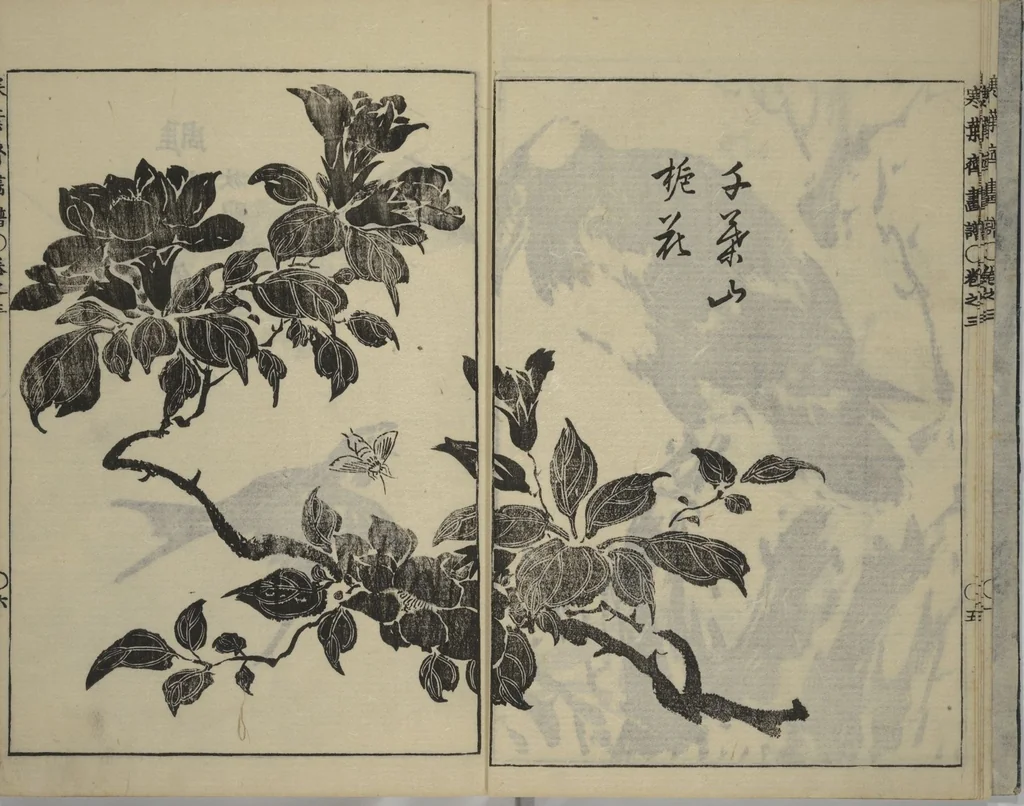 An illustration from Kan'yōsai Picture Album (Kan'yōsai gafu 寒葉斎画譜) : [volume 3], 1762, leaf 7