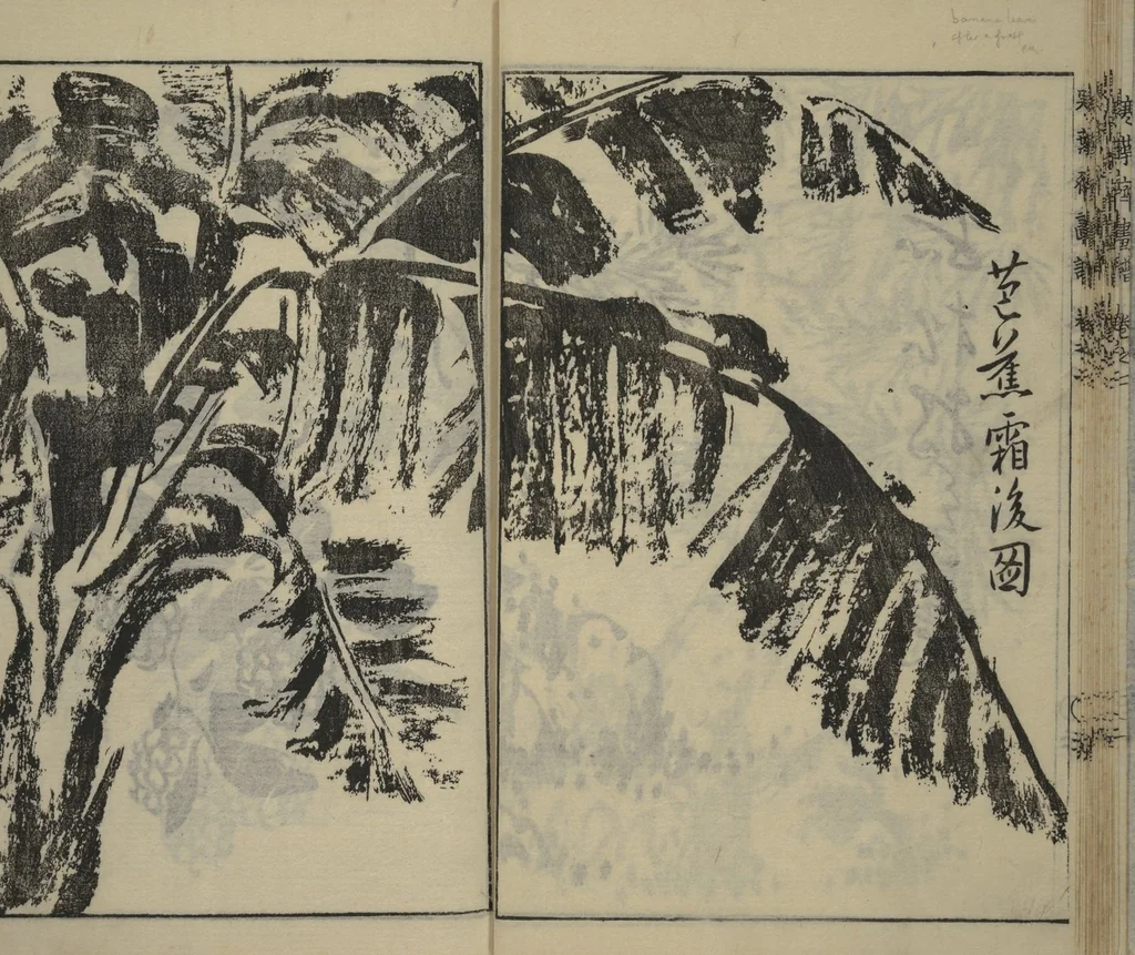 An illustration from Kan'yōsai Picture Album (Kan'yōsai gafu 寒葉斎画譜) : [volume 2], 1762, leaf 22