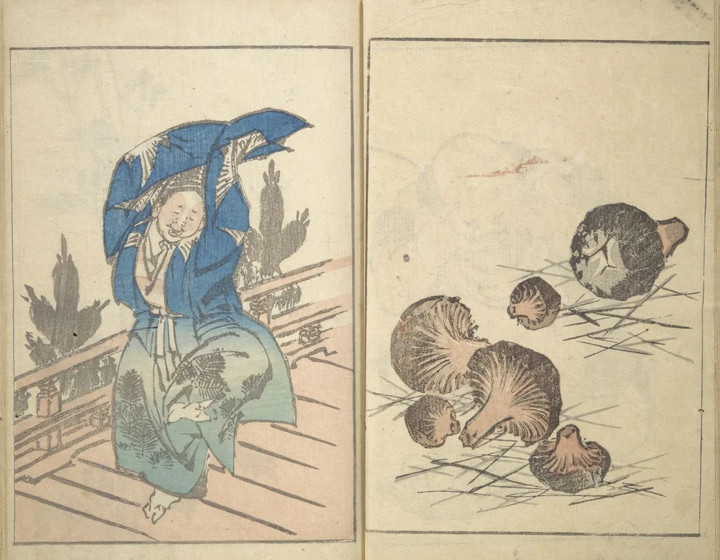 An illustration from Rough Sketches by Hokusai: Cursive Drawings Section (Hokusai Manga: Sōhitsu-no-bu 北斎漫画草筆之部), 1843, leaf 13