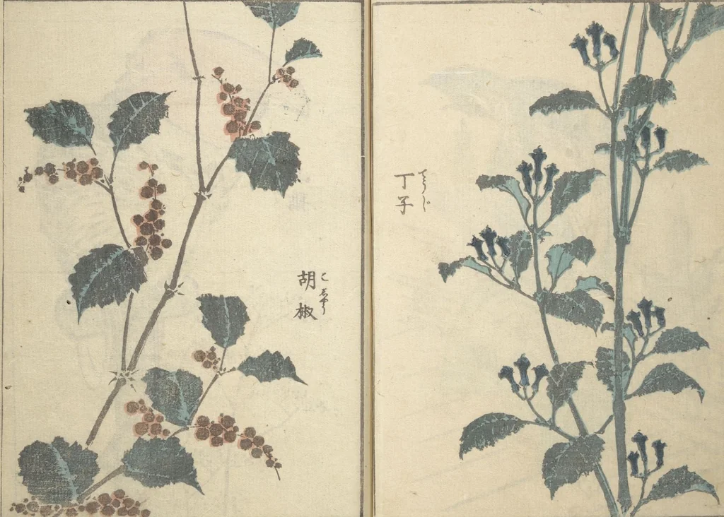An illustration from Rough Sketches by Hokusai: Cursive Drawings Section (Hokusai Manga: Sōhitsu-no-bu 北斎漫画草筆之部), 1843, leaf 14