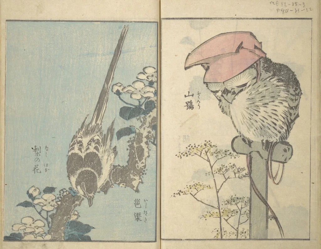 An illustration from Rough Sketches by Hokusai: Cursive Drawings Section (Hokusai Manga: Sōhitsu-no-bu 北斎漫画草筆之部), 1843, leaf 15