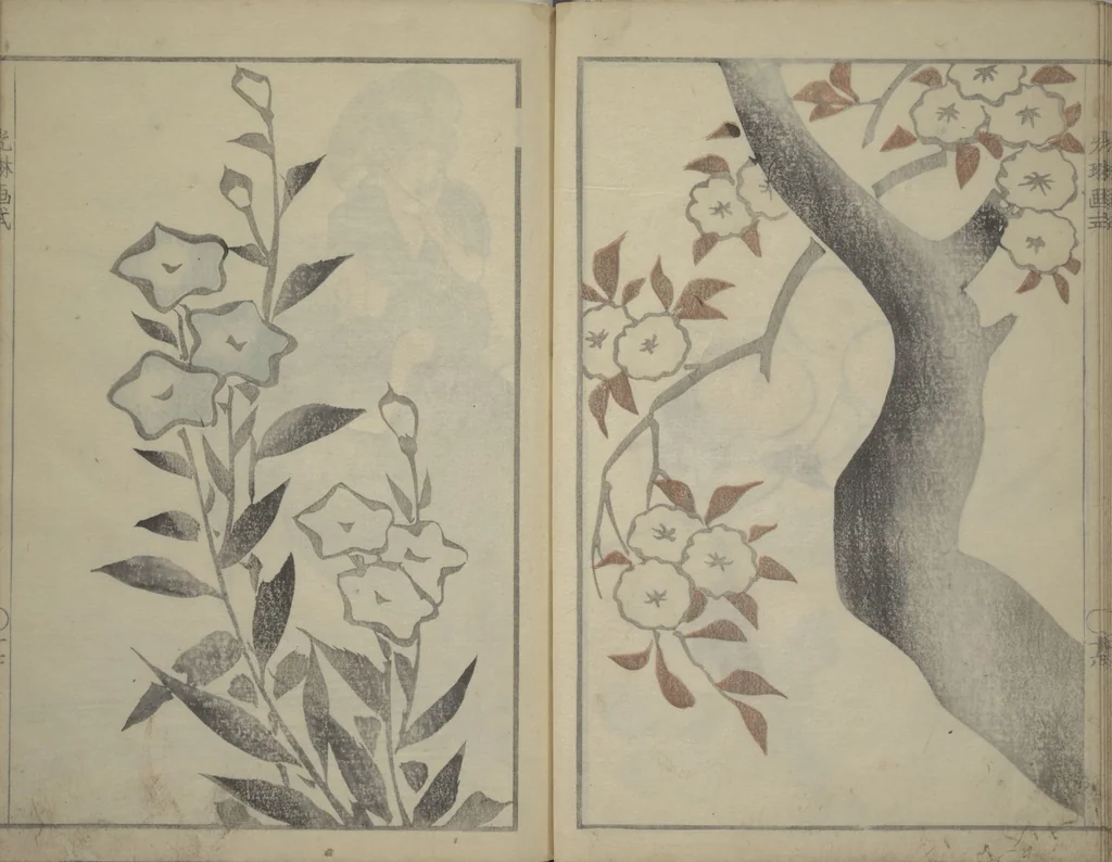 An illustration from Kōrin's painting style (Kōrin gashiki), 1818, leaf 19