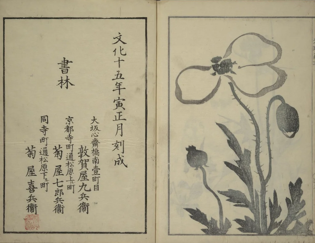 An illustration from Kōrin's painting style (Kōrin gashiki), 1818, leaf 31