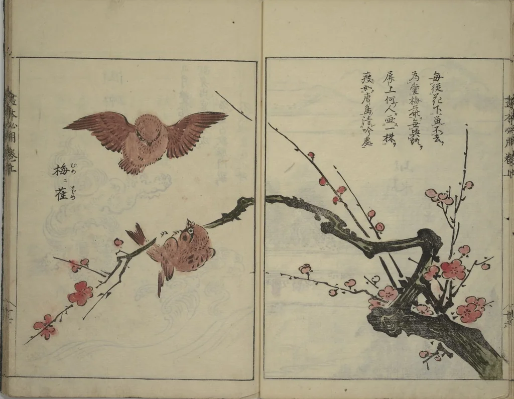An illustration from A Picture Book on the Study of Paintings (Ehon hitsuryō), 1751, leaf 19