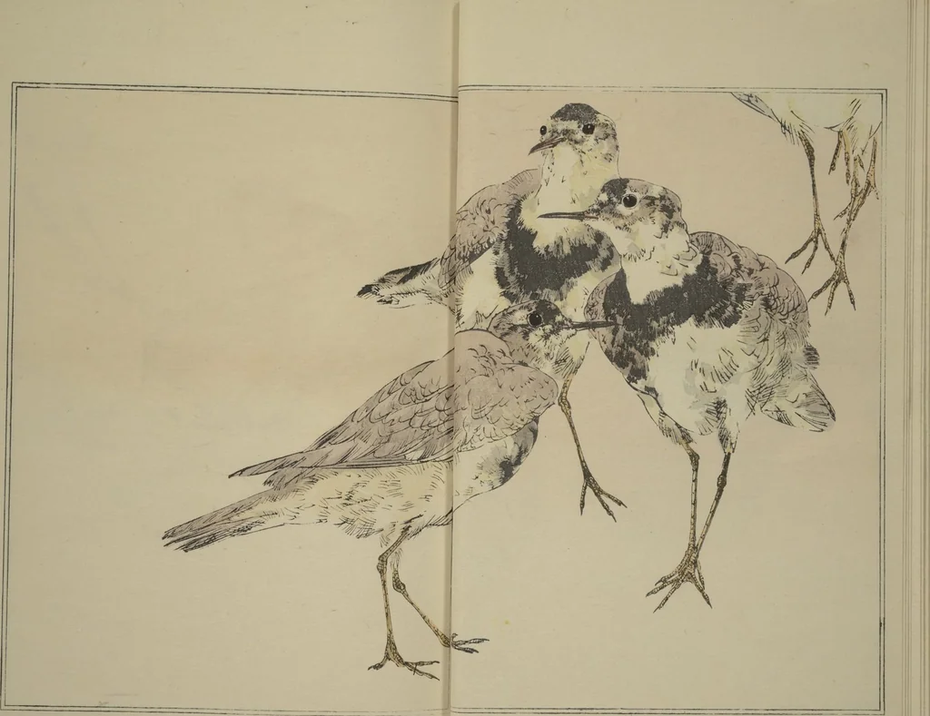 An illustration from Picture Album of Birds and Flowers (Kachō gafu), 1903, leaf 10