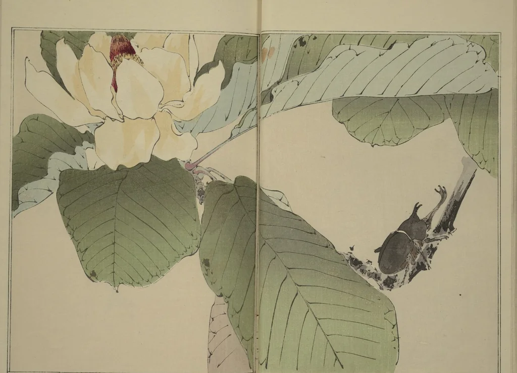 An illustration from Picture Album of Birds and Flowers (Kachō gafu), 1903, leaf 9