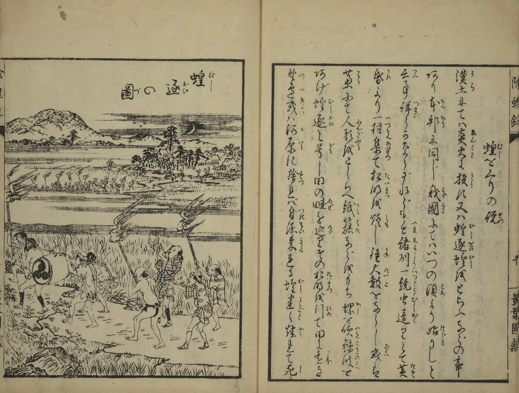 An illustration from Whales and Whale Oil (Jokō roku), 1826, leaf 16