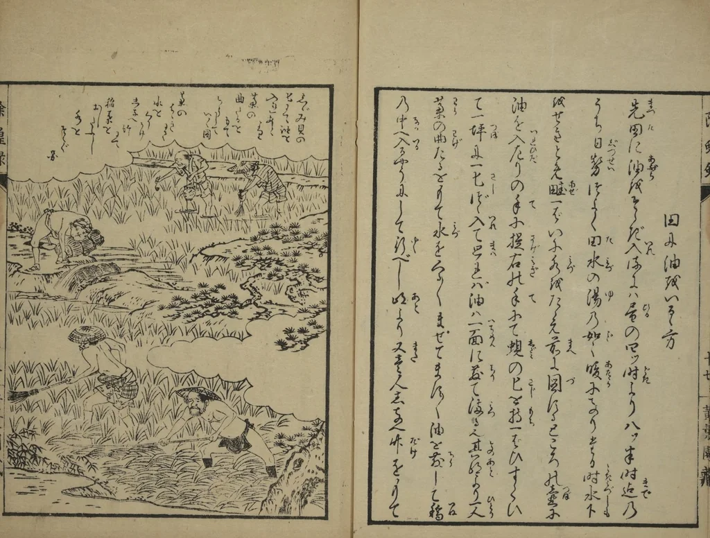 An illustration from Whales and Whale Oil (Jokō roku), 1826, leaf 26