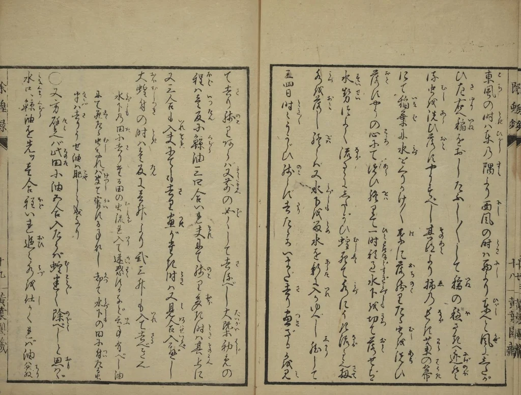 An illustration from Whales and Whale Oil (Jokō roku), 1826, leaf 27