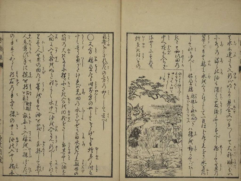An illustration from Whales and Whale Oil (Jokō roku), 1826, leaf 28