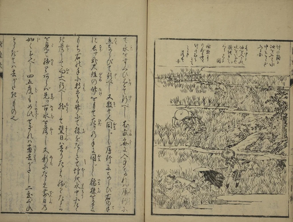 An illustration from Whales and Whale Oil (Jokō roku), 1826, leaf 29