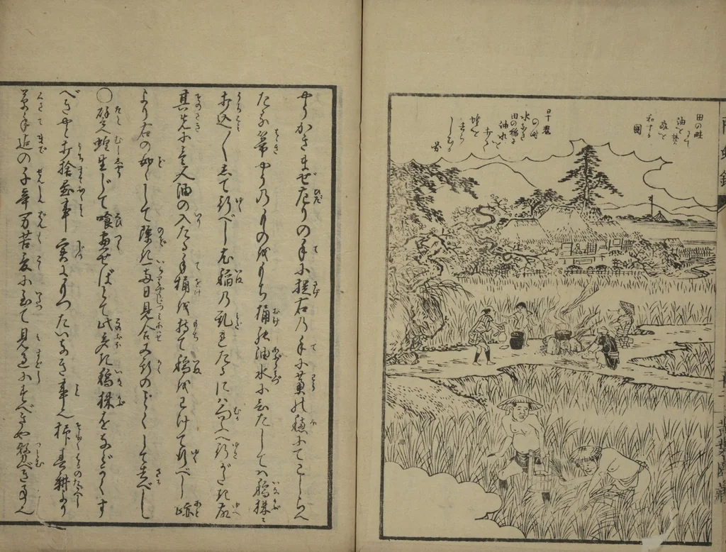 An illustration from Whales and Whale Oil (Jokō roku), 1826, leaf 31