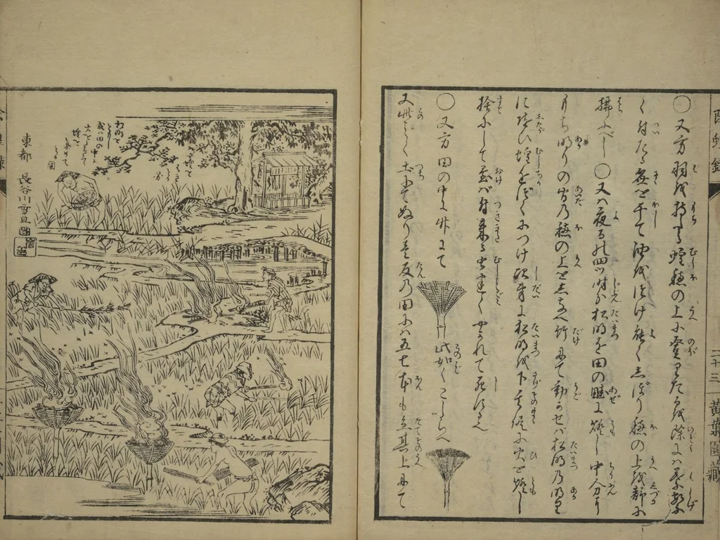 An illustration from Whales and Whale Oil (Jokō roku), 1826, leaf 32