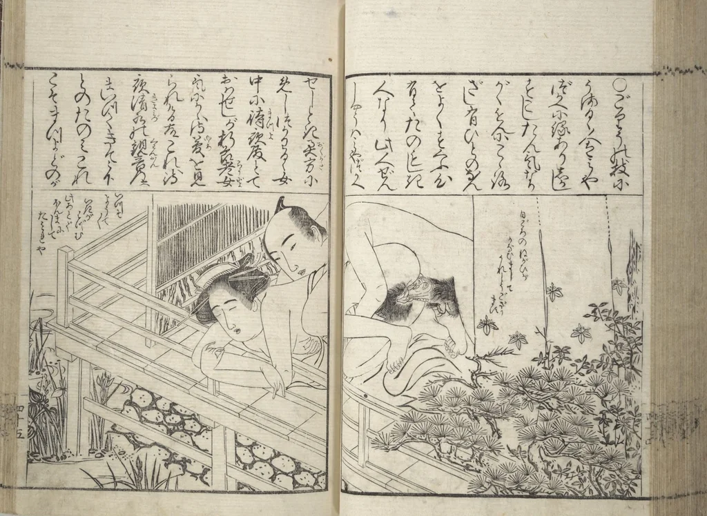 An illustration from Erotica; Compendium Guide to the Brothels of Osaka (Keiryaku ōzassho gyokumon taisei), 1770, leaf 47