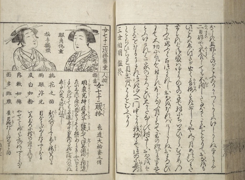 An illustration from Erotica; Compendium Guide to the Brothels of Osaka (Keiryaku ōzassho gyokumon taisei), 1770, leaf 59