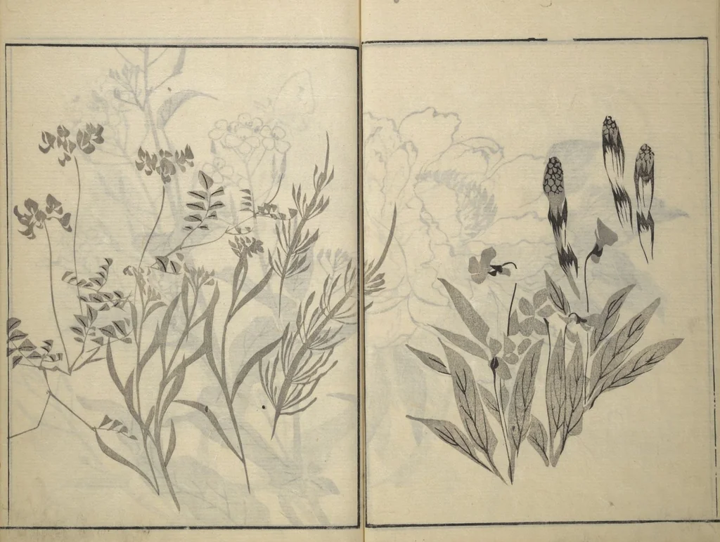 An illustration from Soken Picture Album: The Plant Section (Soken gafu: Sōka no bu), 1806, leaf 11