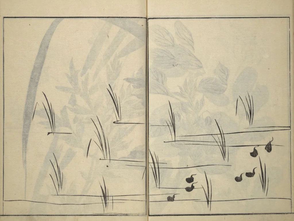 An illustration from Soken Picture Album: The Plant Section (Soken gafu: Sōka no bu), 1806, leaf 14