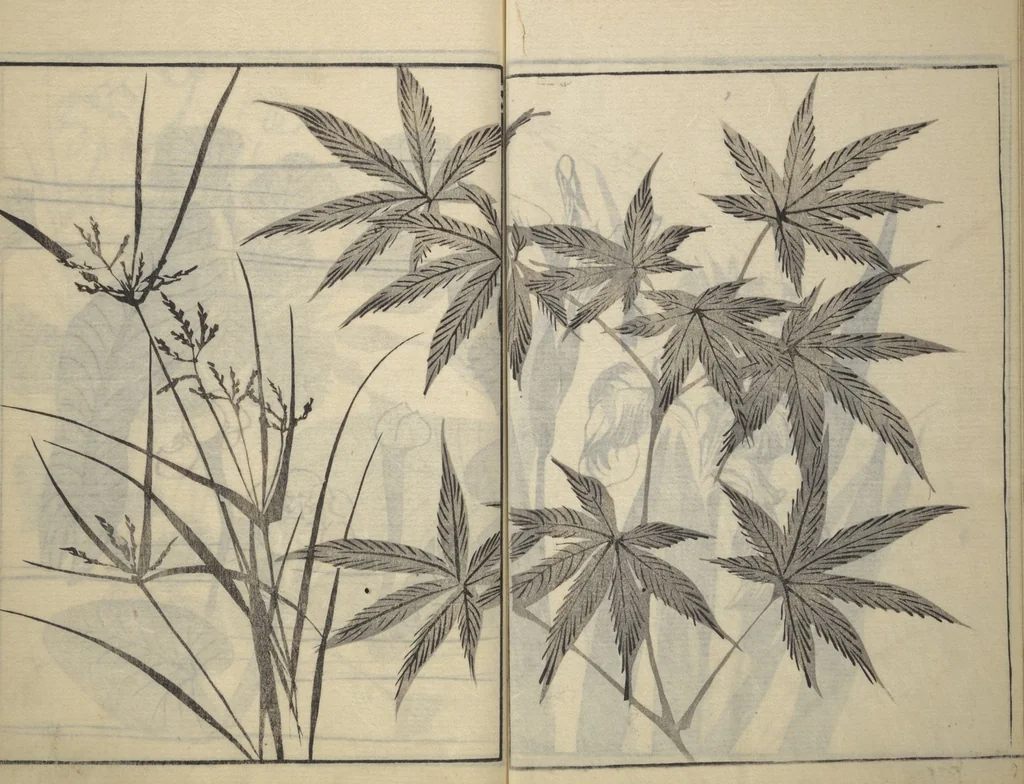 An illustration from Soken Picture Album: The Plant Section (Soken gafu: Sōka no bu), 1806, leaf 29