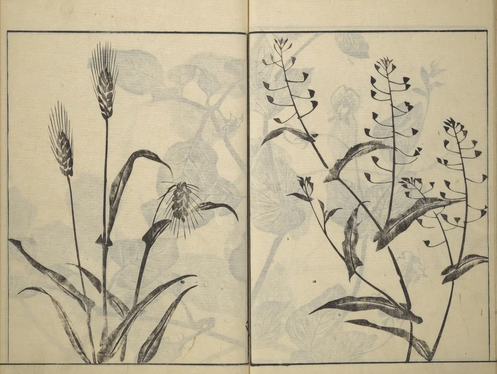An illustration from Soken Picture Album: The Plant Section (Soken gafu: Sōka no bu), 1806, leaf 33