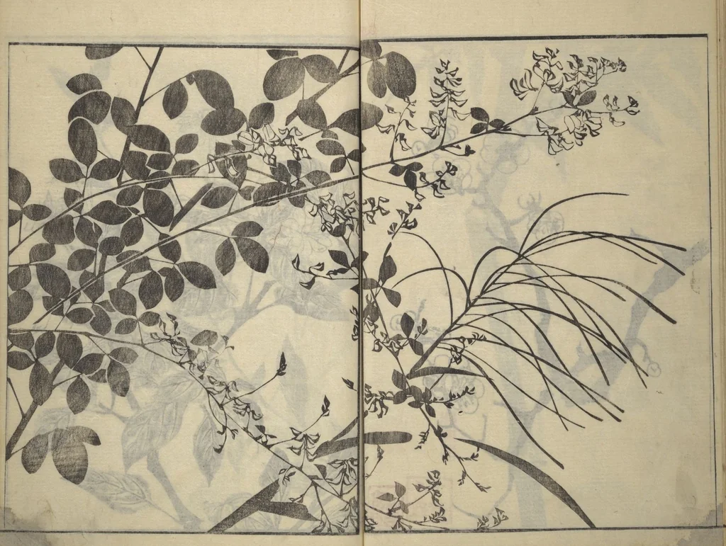 An illustration from Soken Picture Album: The Plant Section (Soken gafu: Sōka no bu), 1806, leaf 41