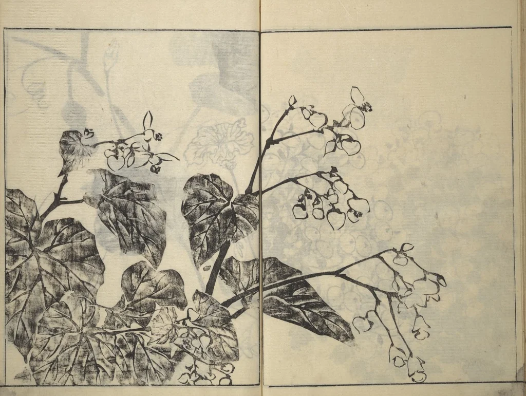 An illustration from Soken Picture Album: The Plant Section (Soken gafu: Sōka no bu), 1806, leaf 45