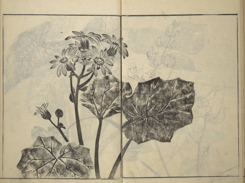 An illustration from Soken Picture Album: The Plant Section (Soken gafu: Sōka no bu), 1806, leaf 50