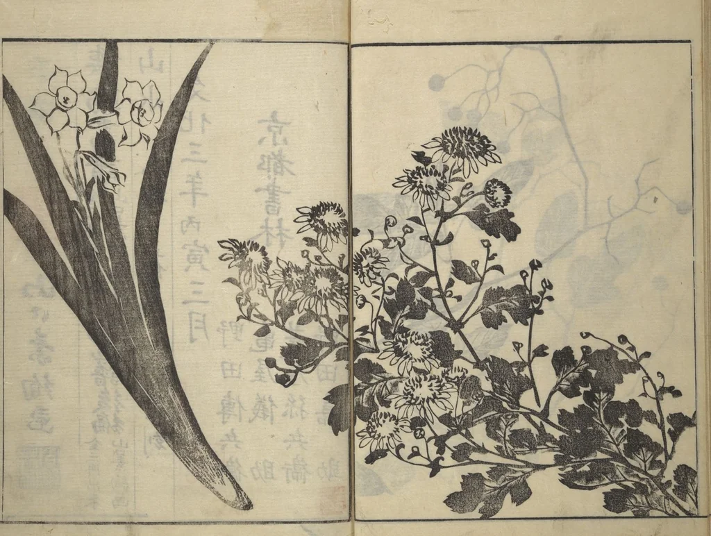 An illustration from Soken Picture Album: The Plant Section (Soken gafu: Sōka no bu), 1806, leaf 58