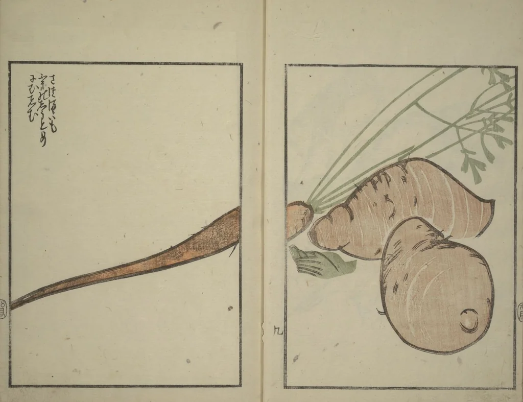 An illustration from Suiseki Picture Album (Suiseki gafu nihen), Second Series, 1820, leaf 11