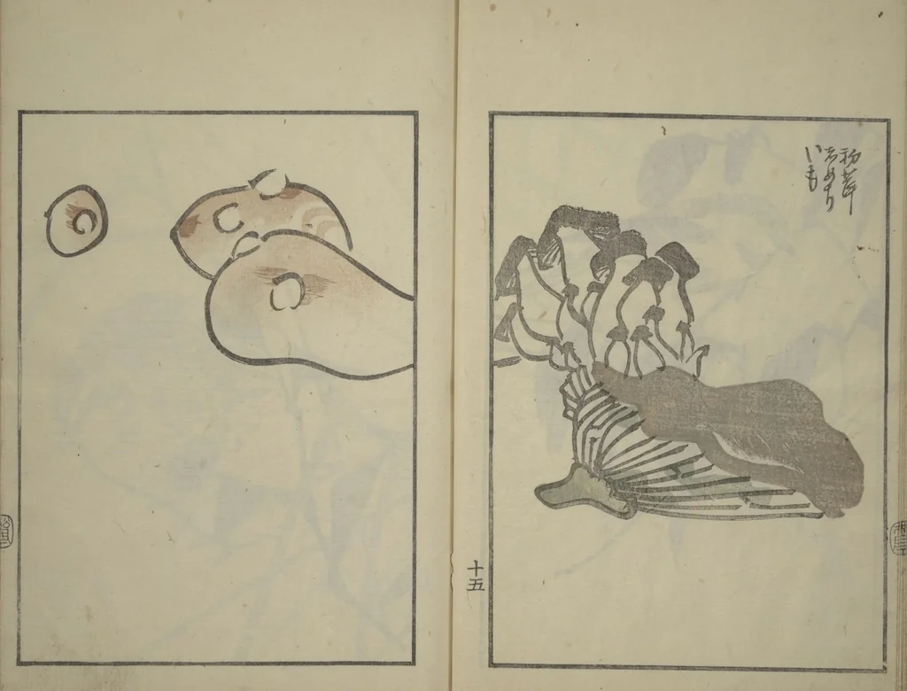 An illustration from Suiseki Picture Album (Suiseki gafu nihen), Second Series, 1820, leaf 17