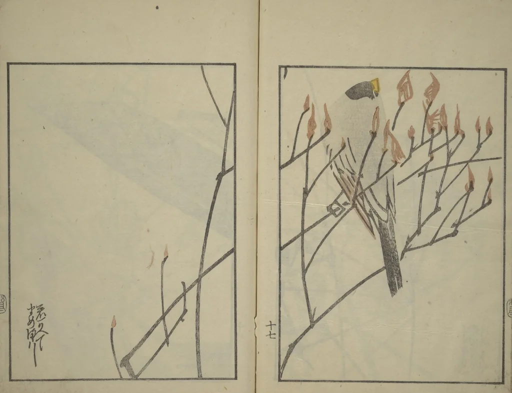 An illustration from Suiseki Picture Album (Suiseki gafu nihen), Second Series, 1820, leaf 19