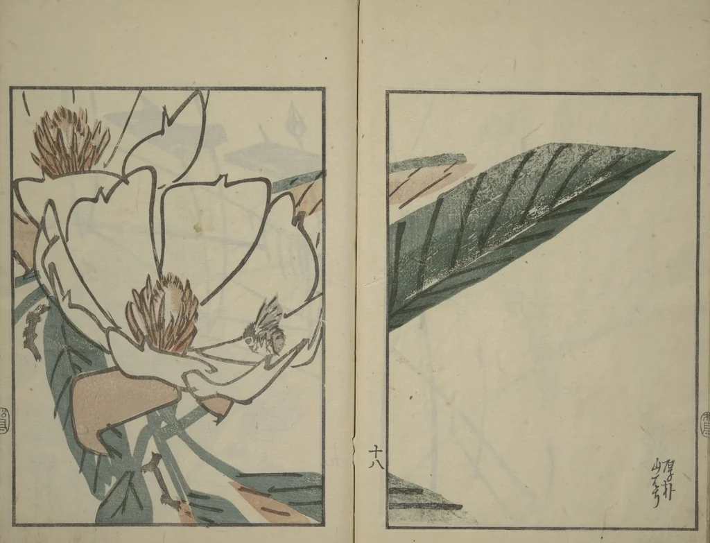 An illustration from Suiseki Picture Album (Suiseki gafu nihen), Second Series, 1820, leaf 20