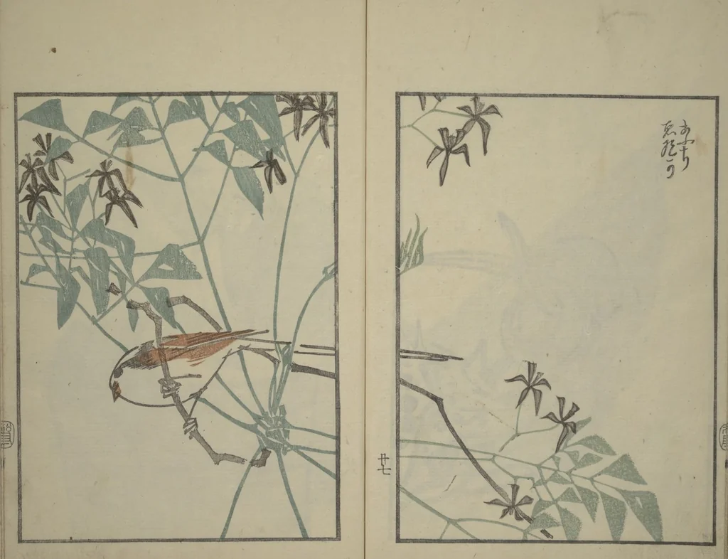 An illustration from Suiseki Picture Album (Suiseki gafu nihen), Second Series, 1820, leaf 29