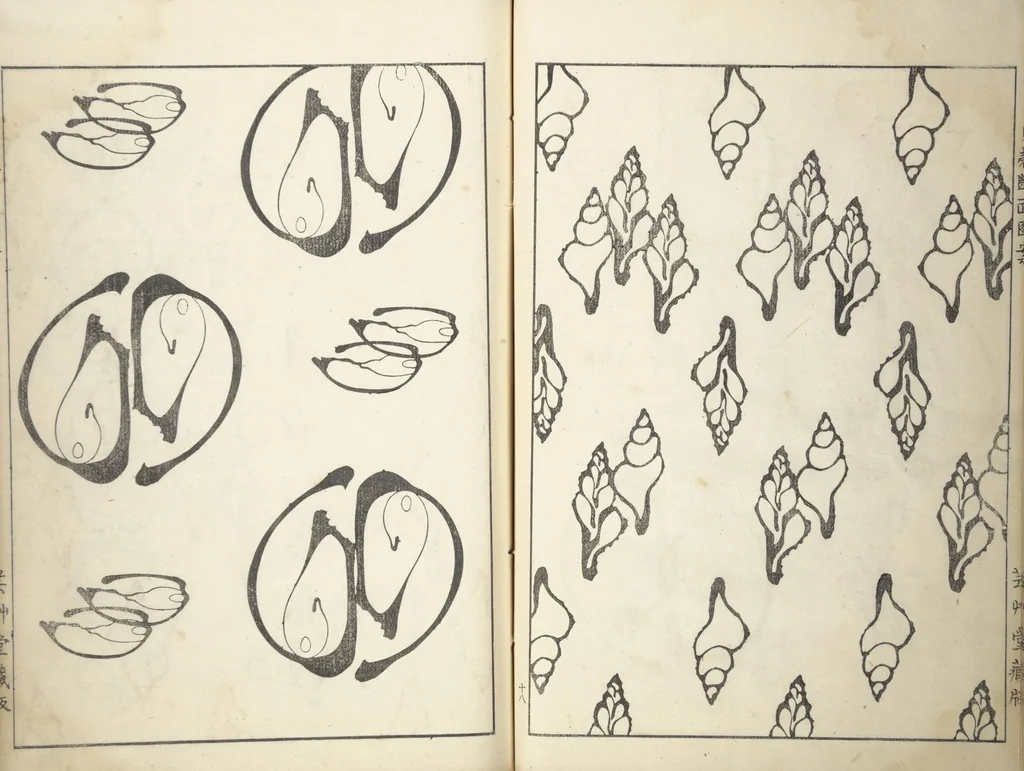 An illustration from Shell Motifs (Kaigara dammen zuan), 1913, leaf 23